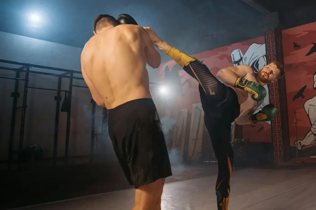 KSW – Najważniejsze Informacje o Największej Organizacji MMA w Polsce