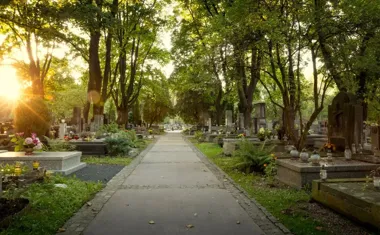 Ile kosztuje miejsce na cmentarzu komunalnym w Płocku po 20 latach?