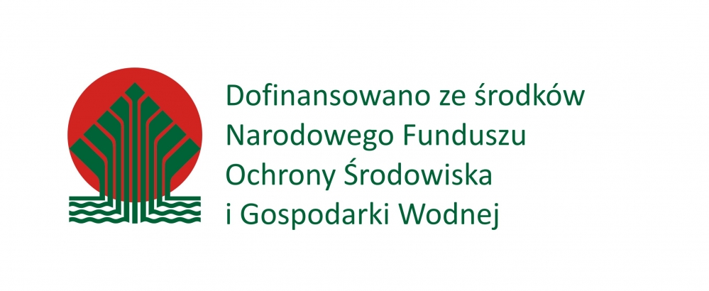 powstanie strategia elektromobilnoci powiatu pockiego 20200909 2093532214