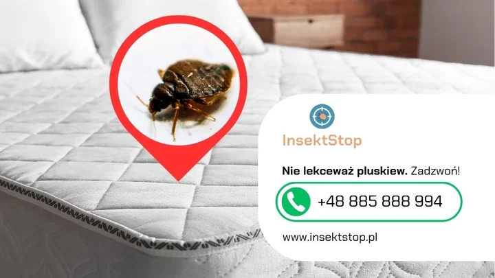 11-pluskwy-w-materacu-insektstop-pomoc-20250917095958.webp