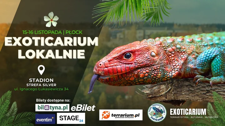 Obraz do artykułu: 🐍 Egzotyczne zwierzęta z całego świata w Płocku!