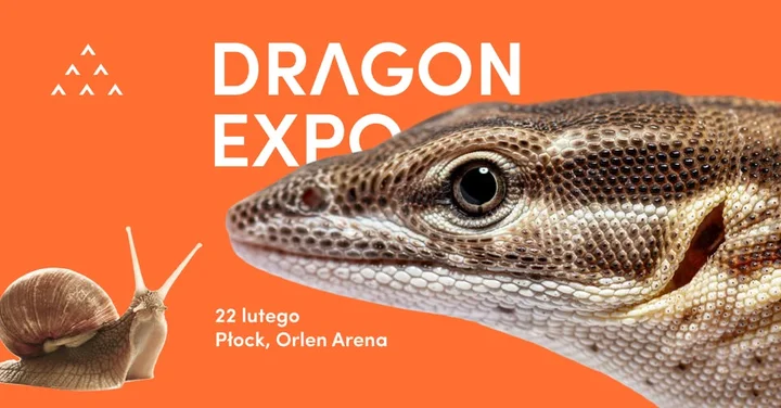 Grafika promocyjna wydarzenia Dragon Expo / Płock — event terrarystyczny i botaniczny