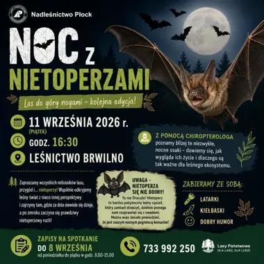 LAS DO GÓRY NOGAMI – noc nietoperzy
