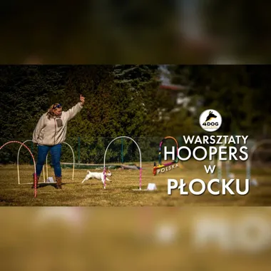 Warsztaty HOOPERS w Płocku – seminarium praktyczne