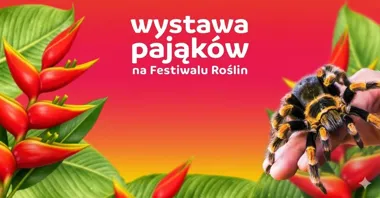 Grafika promocyjna wydarzenia Wystawa Pająków w Płocku w Orlen Arenie – pająki, skorpiony i zdjęcie z ptasznikiem