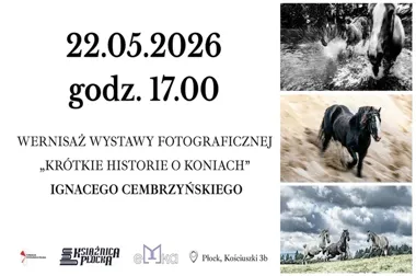 Konie w obiektywie wracają do Płocka - ta wystawa ma własny rytm