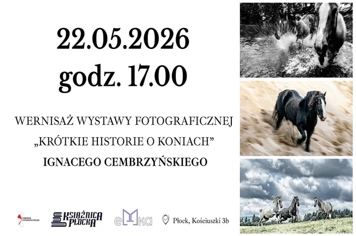 Konie w obiektywie wracają do Płocka - ta wystawa ma własny rytm