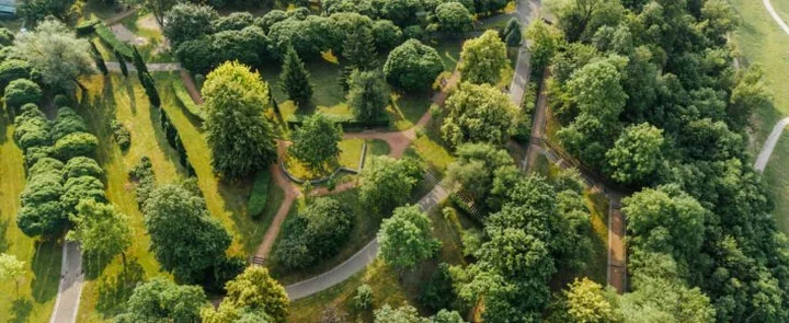 W Parku Abisynia pojawi się nowe oświetlenie. Jesienią ma być gotowe