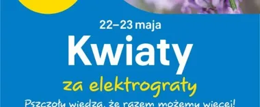 Elektrograty zamienią się w sadzonki. W Płocku rusza ekologiczna wymiana