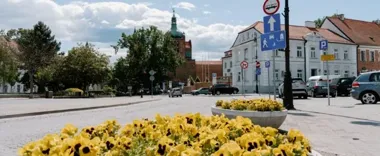Bratki trafią do mieszkańców Płocka. W donicach rusza zmiana sezonu