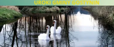Szósta edycja rajdu rowerowego prowadzi przez okolice Gostynina