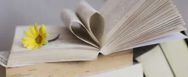 Płocka biblioteka szuka książki, która wróci do czytelników po latach