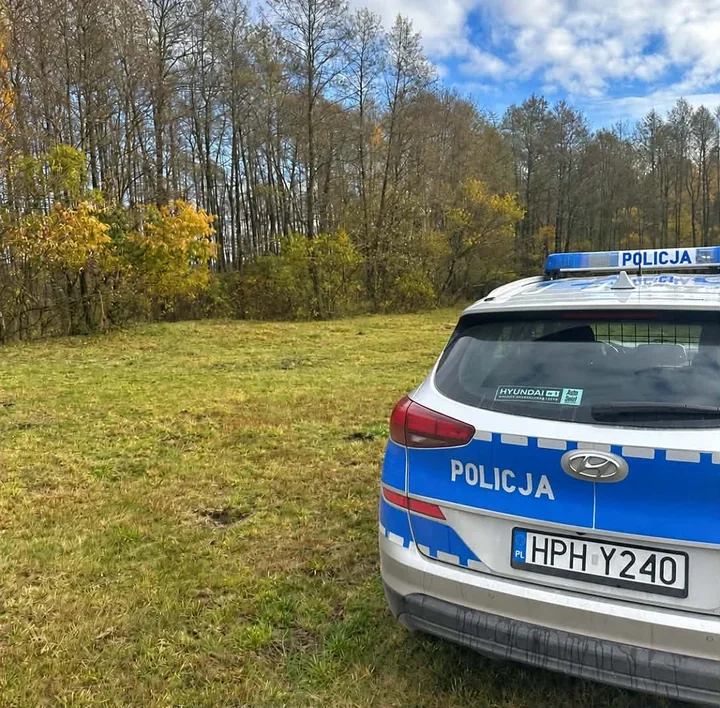 Grzybobranie w Płocku bez zagubienia. Policja wskazuje, co zabrać do lasu