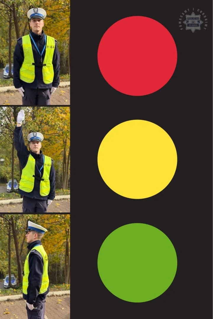 Policjant na skrzyżowaniu w Płocku. Te gesty decydują o przejeździe
