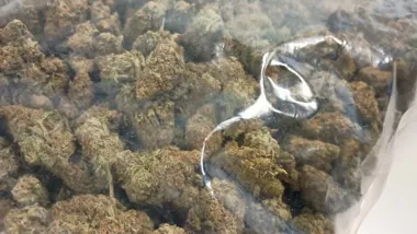 Ponad kilogram narkotyków w powiecie płockim. 22-latek z zarzutem