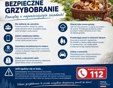 Grzybiarz może zgubić drogę w kilka minut. Policja przypomina zasady