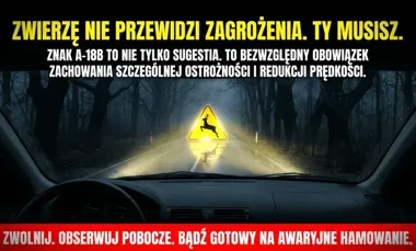 Leśny znak nie jest na pokaz. Kierowcy muszą uważać na dziką zwierzynę