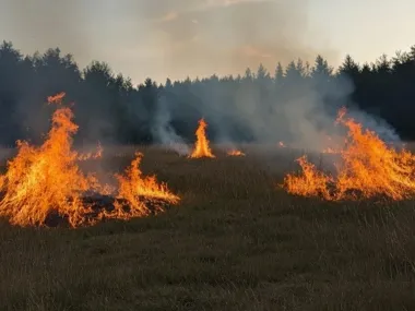 Z sekundy do pożaru - wypalanie traw zagraża ludziom i przyrodzie
